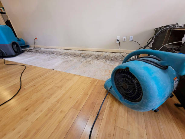 Professional Basement Flood Cleanup technician working in Pahoa, HI